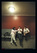 Časopis INSTINKT On tour: Monkey Business like The Rolling Stones
