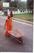 SRÍ LANKA - fotografie Petr Koutecký